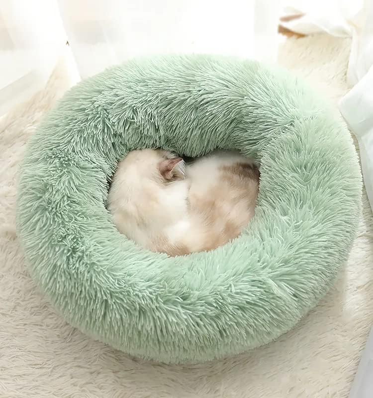 Cat Beds for Indoor Cats - Image 2