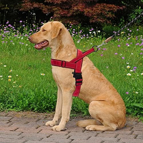Red No Pull Dog Harness for Small Medium Large Sized Dog, Reflective Escape - Image 5