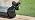 CEROELDA Small Trash Can with Lid-1.3 Gal-Dog Poop Trash Can Outside-Black - Image 7